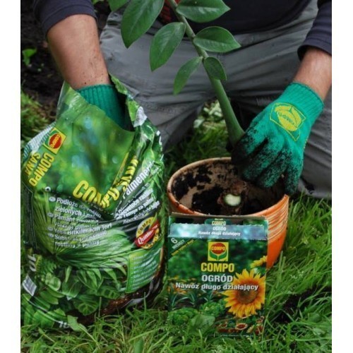 Торфосуміш Compo для декоративно-листяних рослин і пальм 10 л 1431
