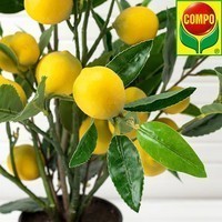 Торфосуміш Compo Sana для цитрусових рослин 10 л 1671