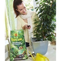 Торфосуміш Compo Sana для зелених рослин і пальм 20 л 2252