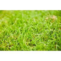 Тверде добриво Compo для газонів 20 кг 5284