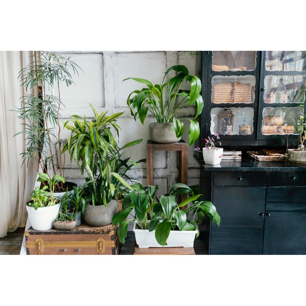 Торфосуміш COMPO Complete універсальна 5 л 3184