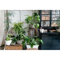 Торфосуміш COMPO Complete універсальна 5 л 3184