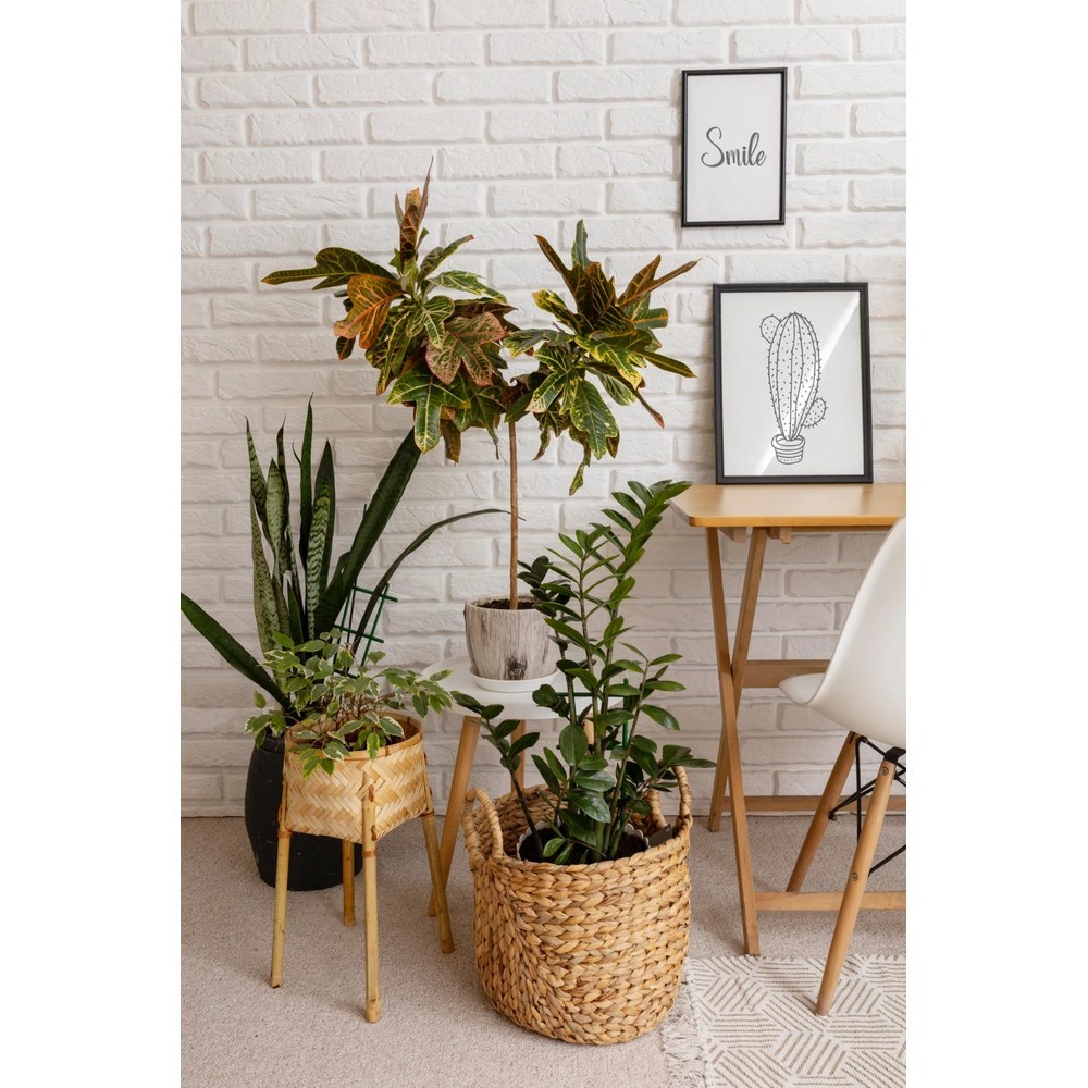 Універсальний спрей Compo Complete 500 мл 6357