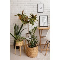 Універсальний спрей Compo Complete 500 мл 6357